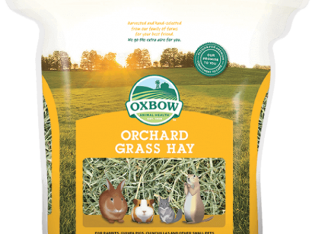 Oxbow Orchard Grass 40 oz. For Sale