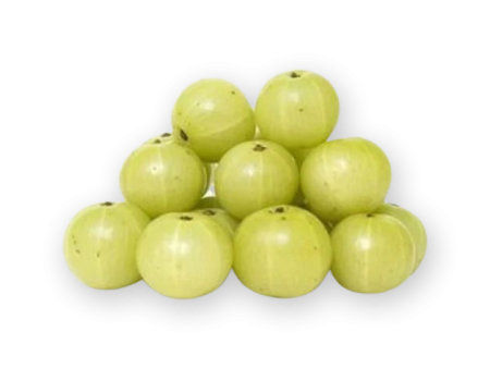 Fresh Indian Amla (Indian Goosberry) For Discount