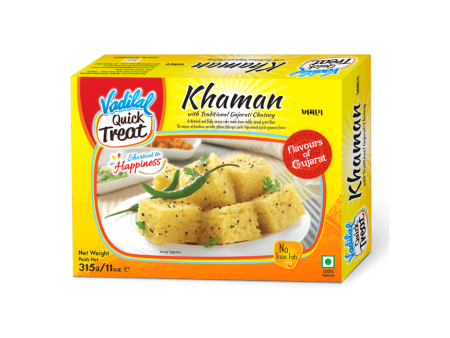 Vadilal Khaman 315g Fashion