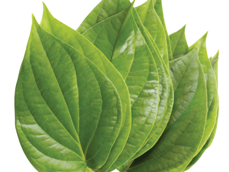 Paan leaf (Bettle Leaf) (10pcs) For Sale