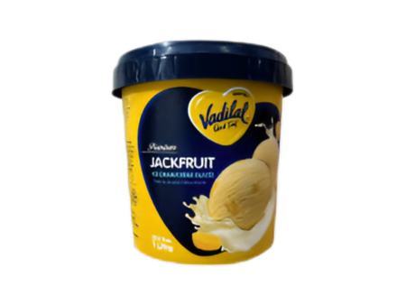 Vadilal Jackfruit Ice Cream 1L Online Sale