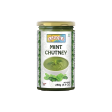 Ashoka Mint Chutney For Discount