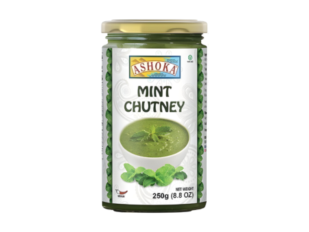 Ashoka Mint Chutney For Discount