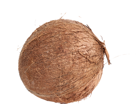 Pooja Coconut Fresh on Sale