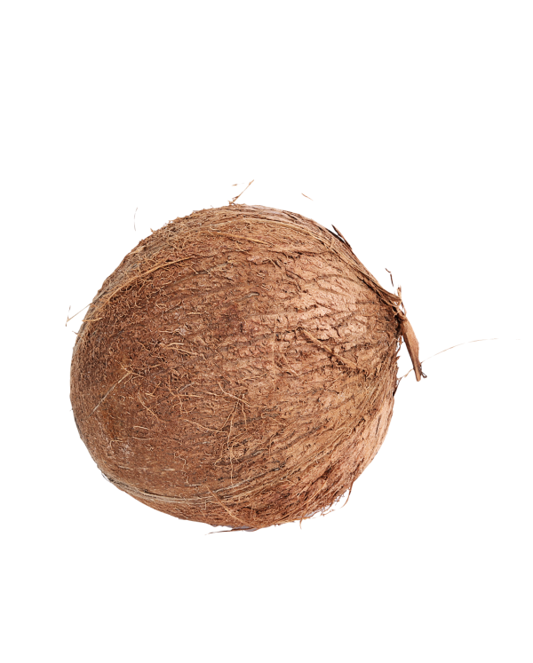 Pooja Coconut Fresh on Sale