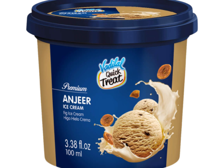 Vadilal Anjeer Ice Cream Online Sale