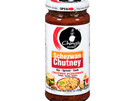 Ching s Secret Schezwan Chutney Discount