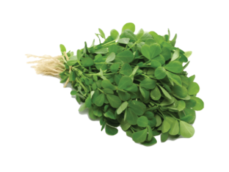 Fresh Methi leaf on Sale