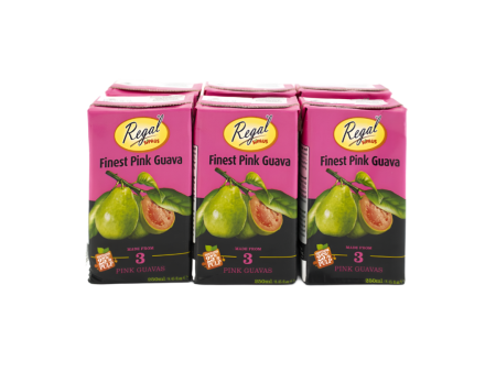 Regal Finest Pink Guava Juice 250ml Hot on Sale