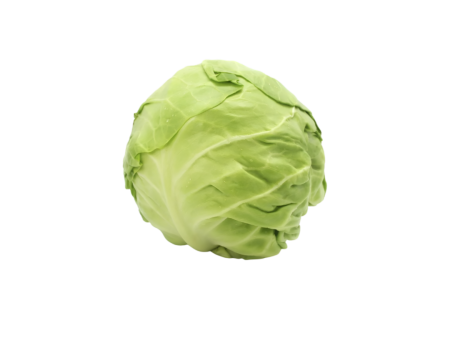 Green Cabbage 1Lb Online now