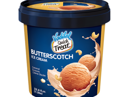 Vadilal Butterscotch Ice Cream Supply