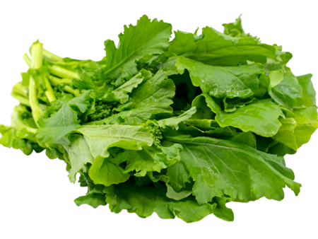 Rapini Leaves (Bunch) Cheap